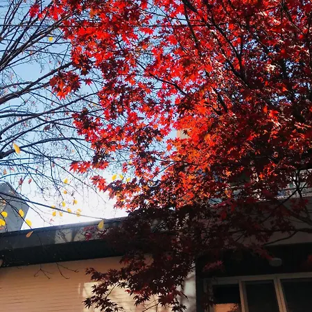 Naru Guesthouse-2